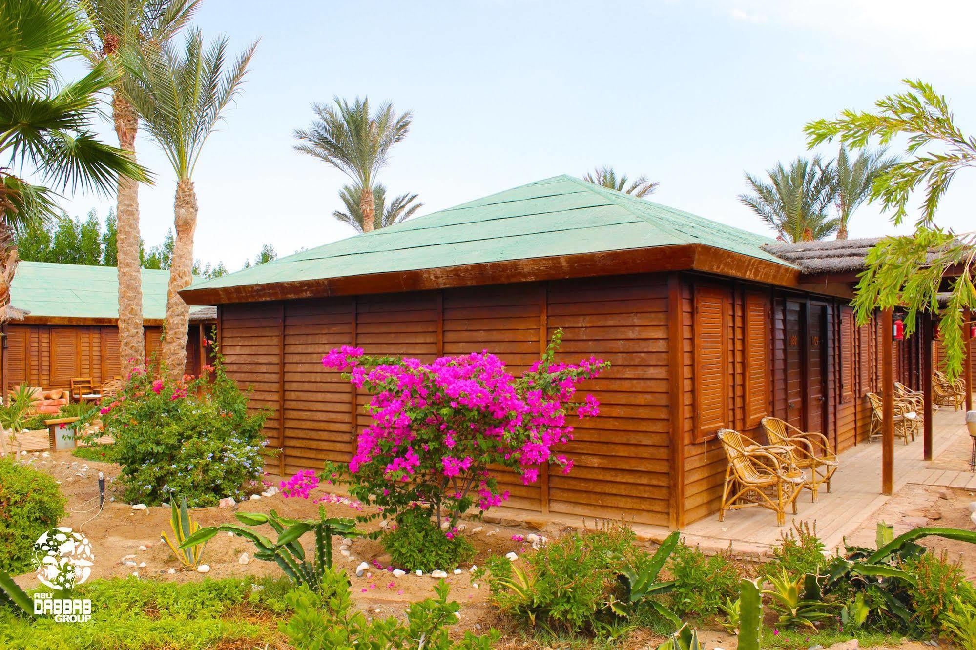 Abu Dabab Diving Lodge Marsa Alam Exterior foto