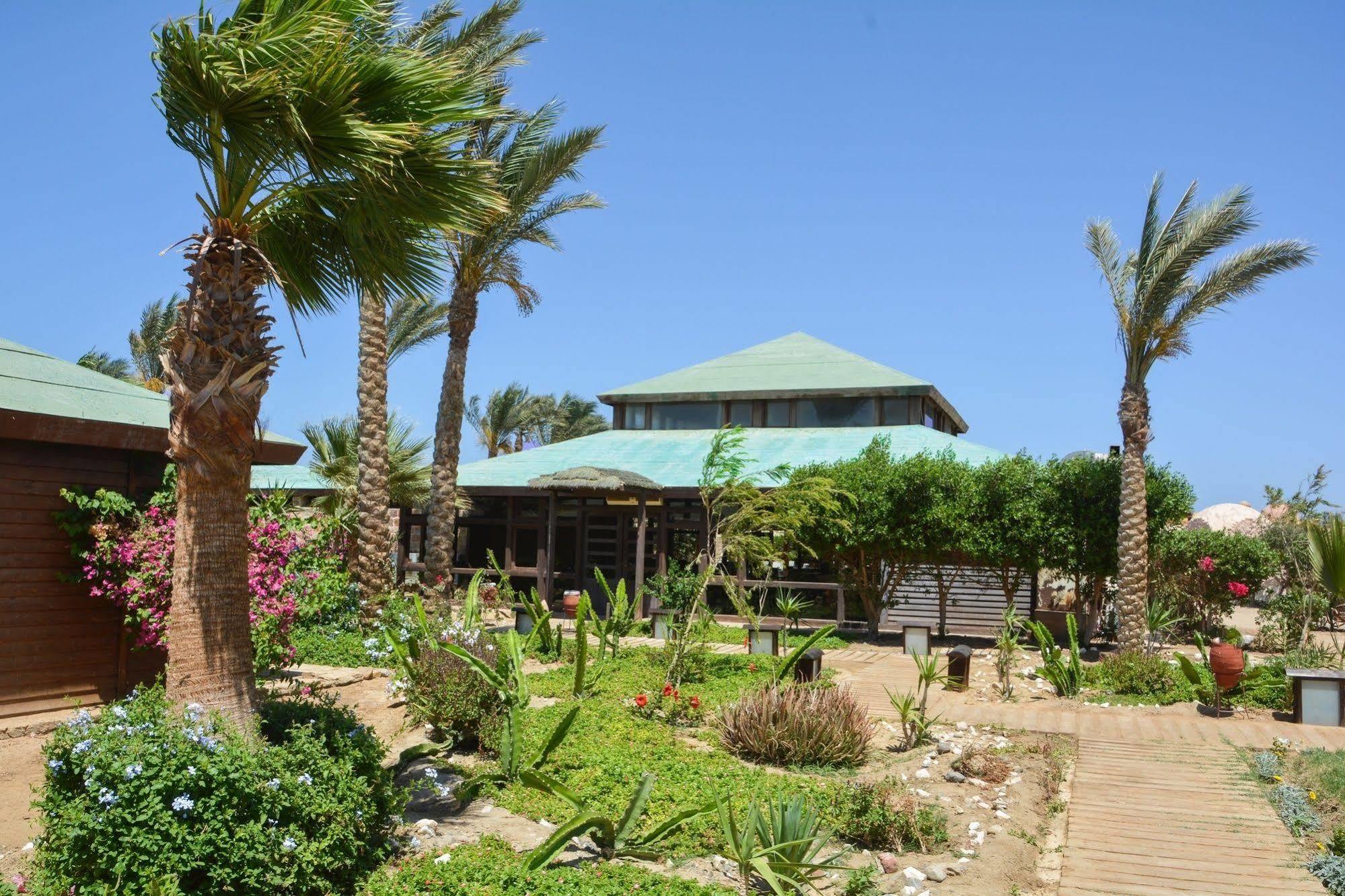 Abu Dabab Diving Lodge Marsa Alam Exterior foto