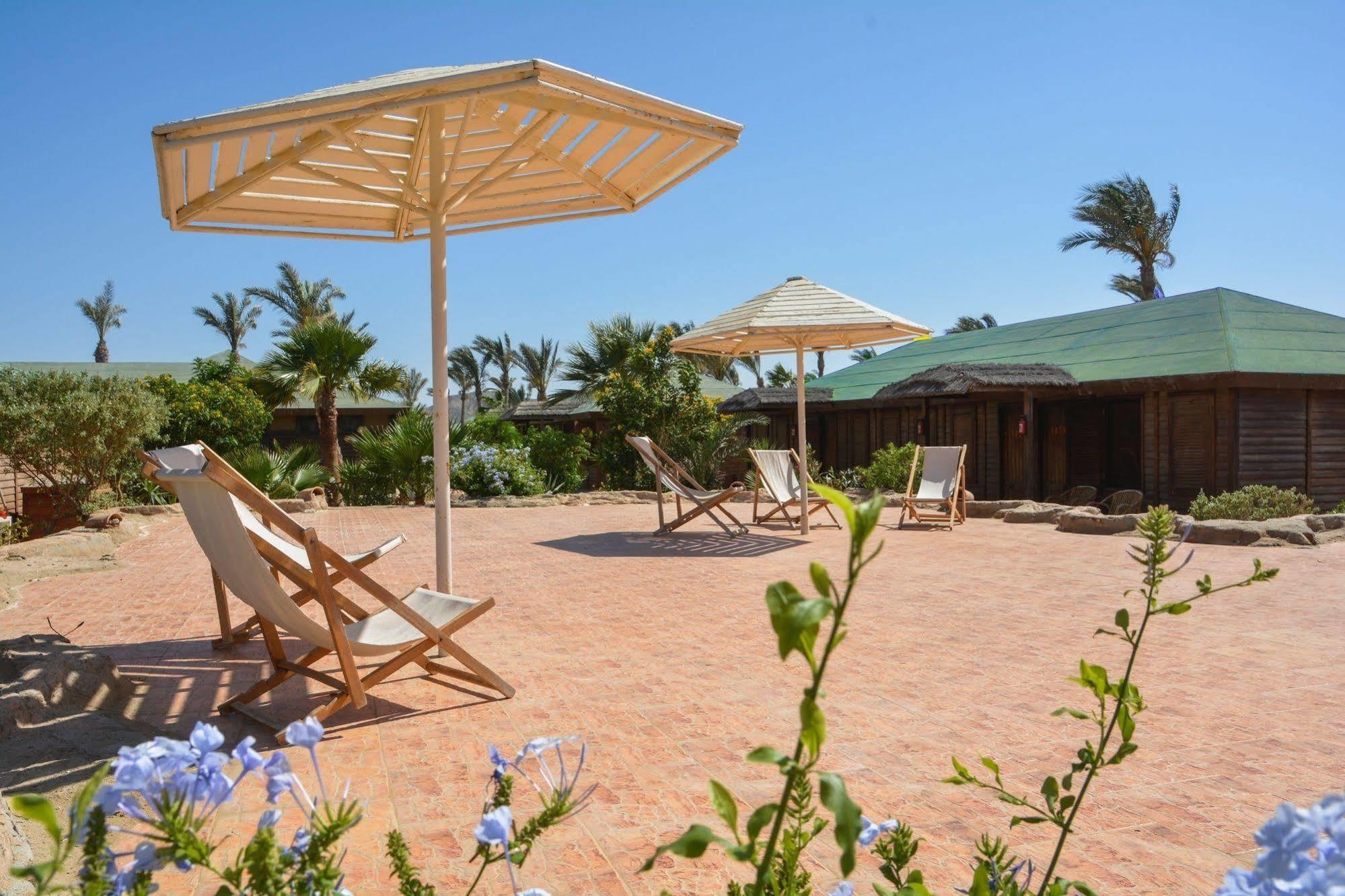 Abu Dabab Diving Lodge Marsa Alam Exterior foto